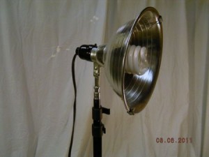 light w new nut